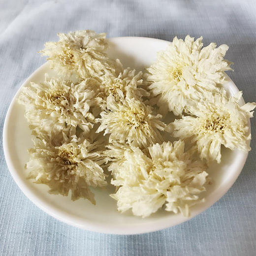 七月菊 菊花 白菊花 500g 商品图0