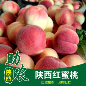 【陕西】红蜜桃5斤/10斤（自然生态果，现摘现发）