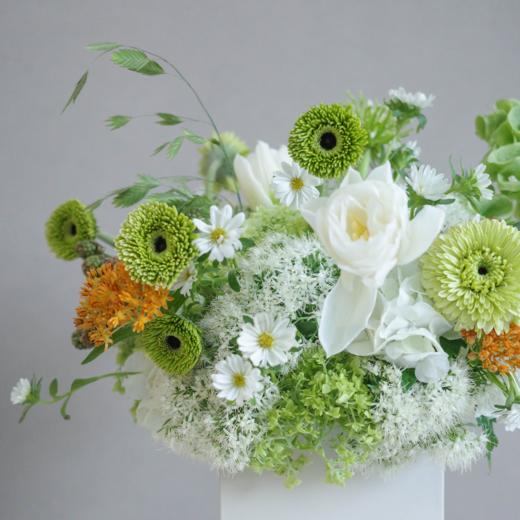 青杏话梅 Apricot and Plum 商品图1