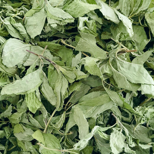 薄荷叶 500g 商品图1