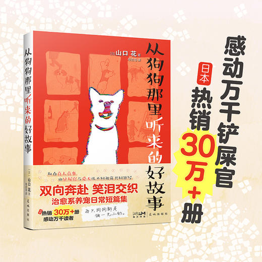从狗狗那里听来的好故事 治愈系养宠短篇小说集 花城出版社正版书籍 商品图1