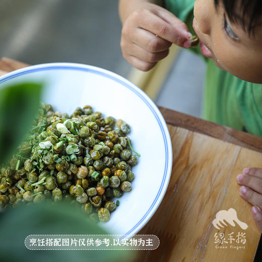 生态豌豆干  | 绿家自产 * Ecological dried pea| Self-production 商品图7