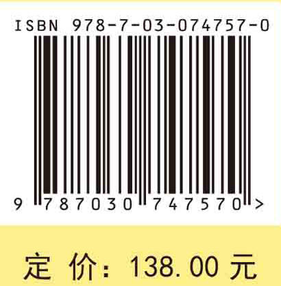 Topics on Combinatorial Semigroups(组合半群的若干课题) 商品图2