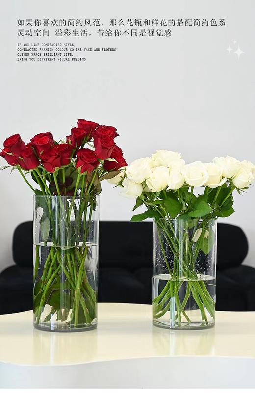 【上新】直筒圆形亚克力养花桶（超多规格） 商品图3