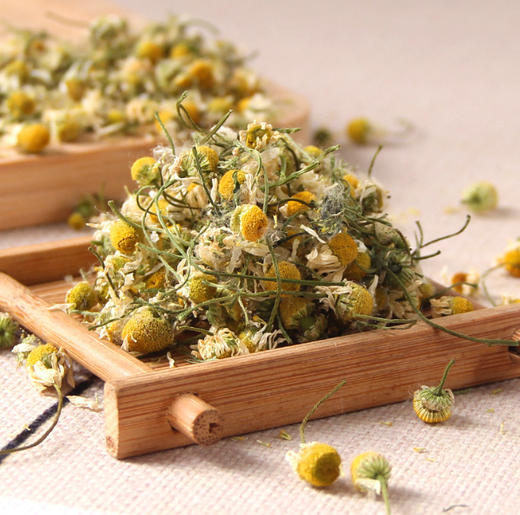 洋甘菊 500g 商品图1