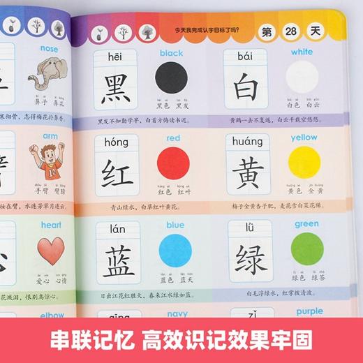 学前识字1000学字启蒙教材看图认字大王幼儿园早教书幼小衔接 商品图4