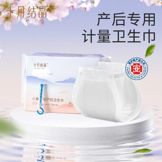 产妇计量裤型卫生巾3片 赠【一次性加厚马桶垫10片】 商品图1