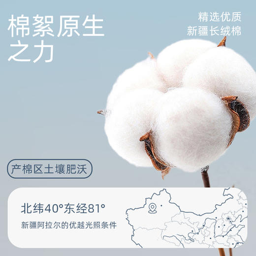洁丽雅轻便纯棉毛巾品质全棉精梳吸水亲肤5A抑菌家用洗脸面巾纯色 商品图4
