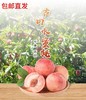 古田水蜜桃  5kg【MJ】【省内包邮直发】 商品缩略图0