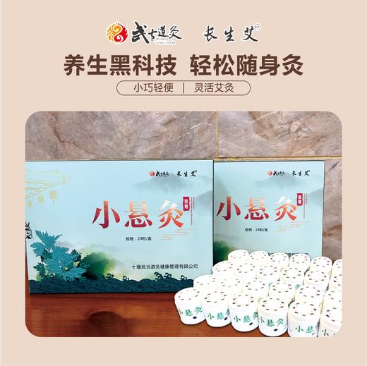 武当道灸小悬灸24粒/盒 商品图0