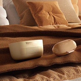 TA71-0011BP  除味器