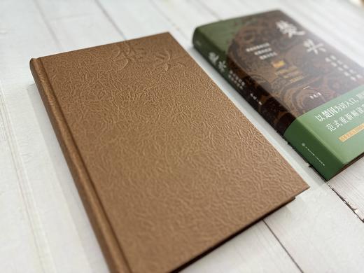 楚兴：霸主时代的政治与战争 商品图7