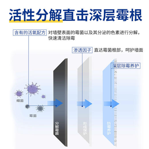【快速除霉！方便快捷】除霉剂墙体墙面发霉清除防霉剂家用祛霉喷雾去霉斑霉菌清洁剂，适用范围广，哪里有霉喷哪里。ry 商品图3