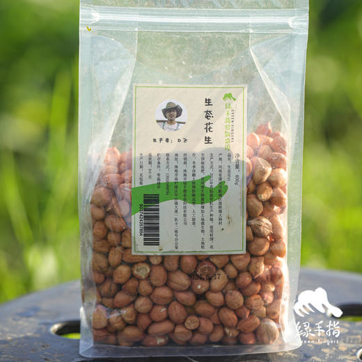 生态花生 | 合作生产 * Ecological peanuts| Coproduction 商品图3