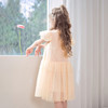 mettekids女童裙子2024夏季新款连衣裙米杏色儿童网纱绣花公主裙 商品缩略图4