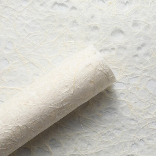 【高级纸】进口花瓣纸/梦幻纸/麻丝纸 （5张/包） 商品图11