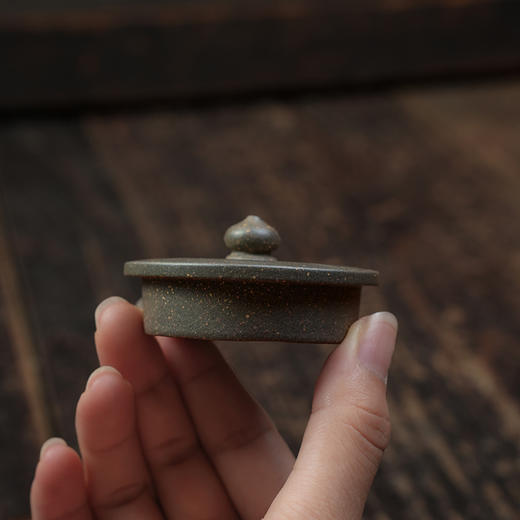 汤建林 壶经壶 宜兴紫砂原矿茶壶紫砂壶功夫茶泡茶壶茶具仿古 商品图9