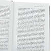 【中商原版】Chiltern经典系列 红字 The Scarlet Letter 英文原版 Nathaniel Hawthorne 世纪经典名著 商品缩略图3