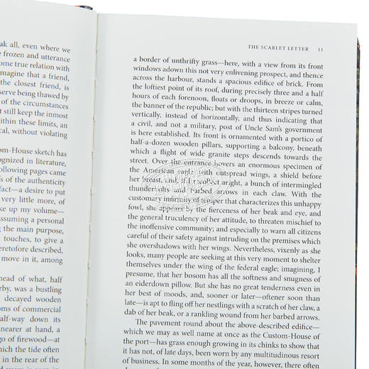 【中商原版】Chiltern经典系列 红字 The Scarlet Letter 英文原版 Nathaniel Hawthorne 世纪经典名著 商品图3