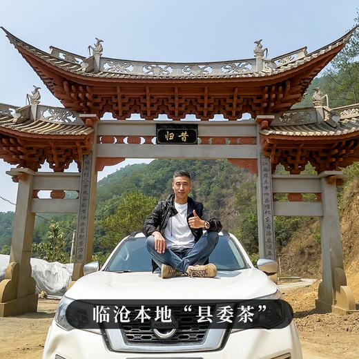 【昔归龙珠】临沧“茶霸王”普洱茶生茶2023年春茶云南古树小沱茶特级茶叶70g/罐 商品图6