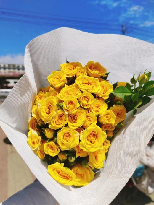 多头黄玫瑰10支 商品图2