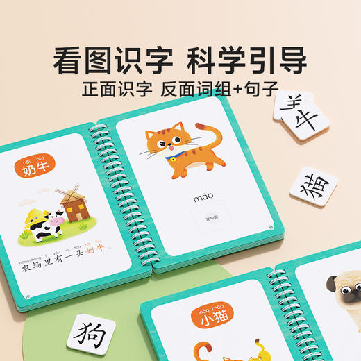 识字早教安静书2-6岁幼儿启蒙认知卡益智趣味认物看图识字贴纸书 商品图1