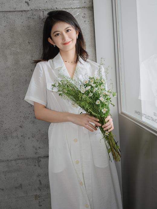 暗纹提花翻领连衣裙FCE2DRS254 商品图8