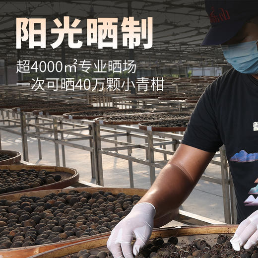 2021小青柑普洱茶（生晒）圆铁罐装200g 商品图3