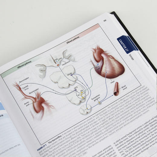 哈里森内科学（第19版·双语版） 商品图8