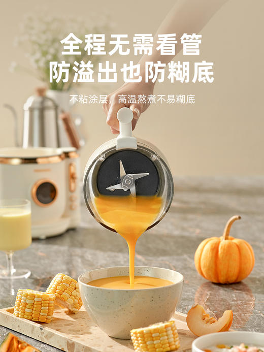 大宇 FPO1破壁机家用隔音罩豆浆机低噪音多功能料理机正品 商品图2