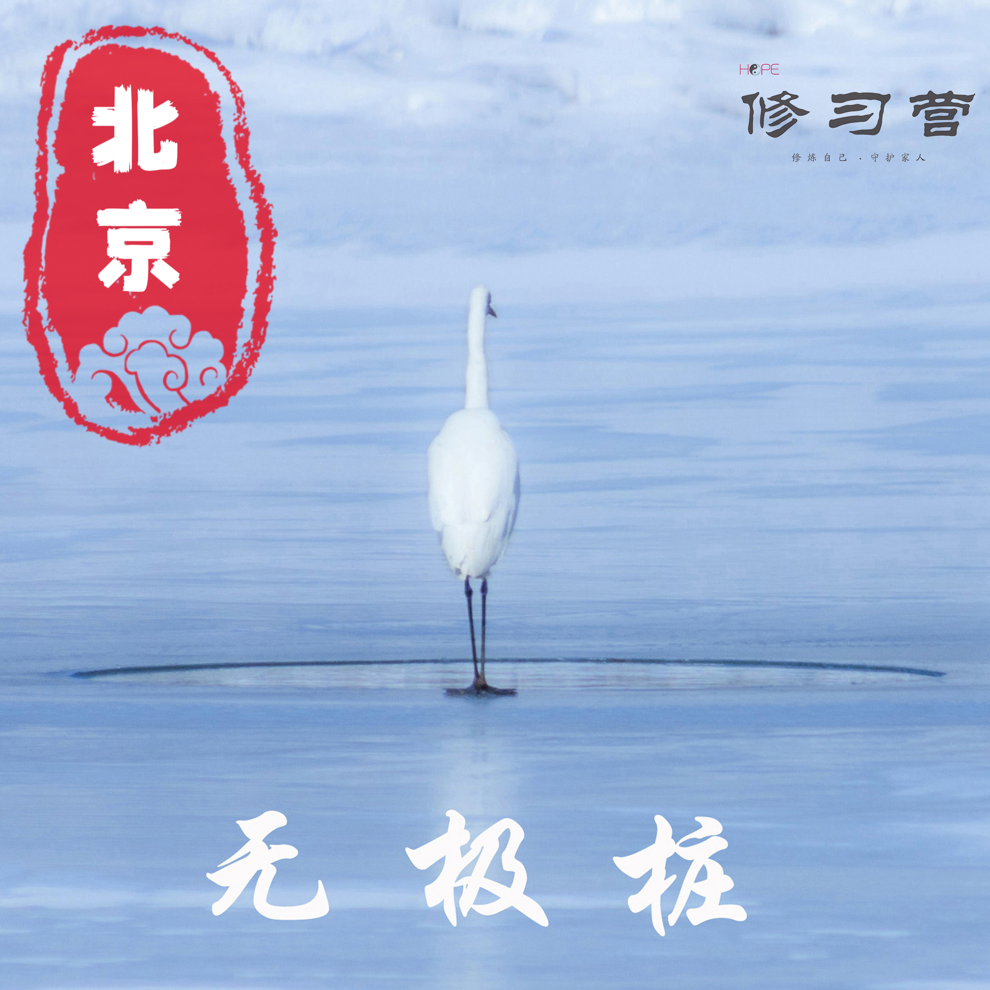 修习营5天修身课【无极桩功】