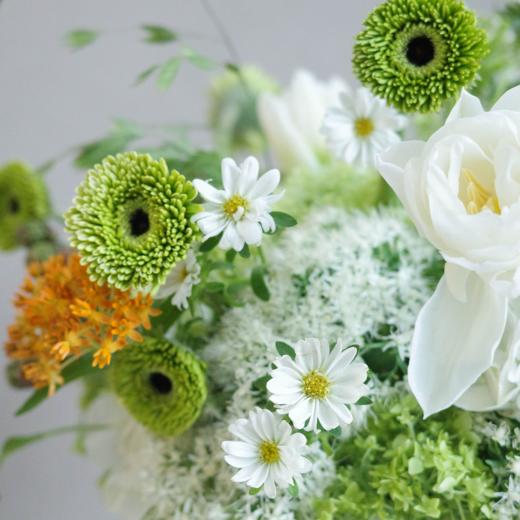 青杏话梅 Apricot and Plum 商品图2