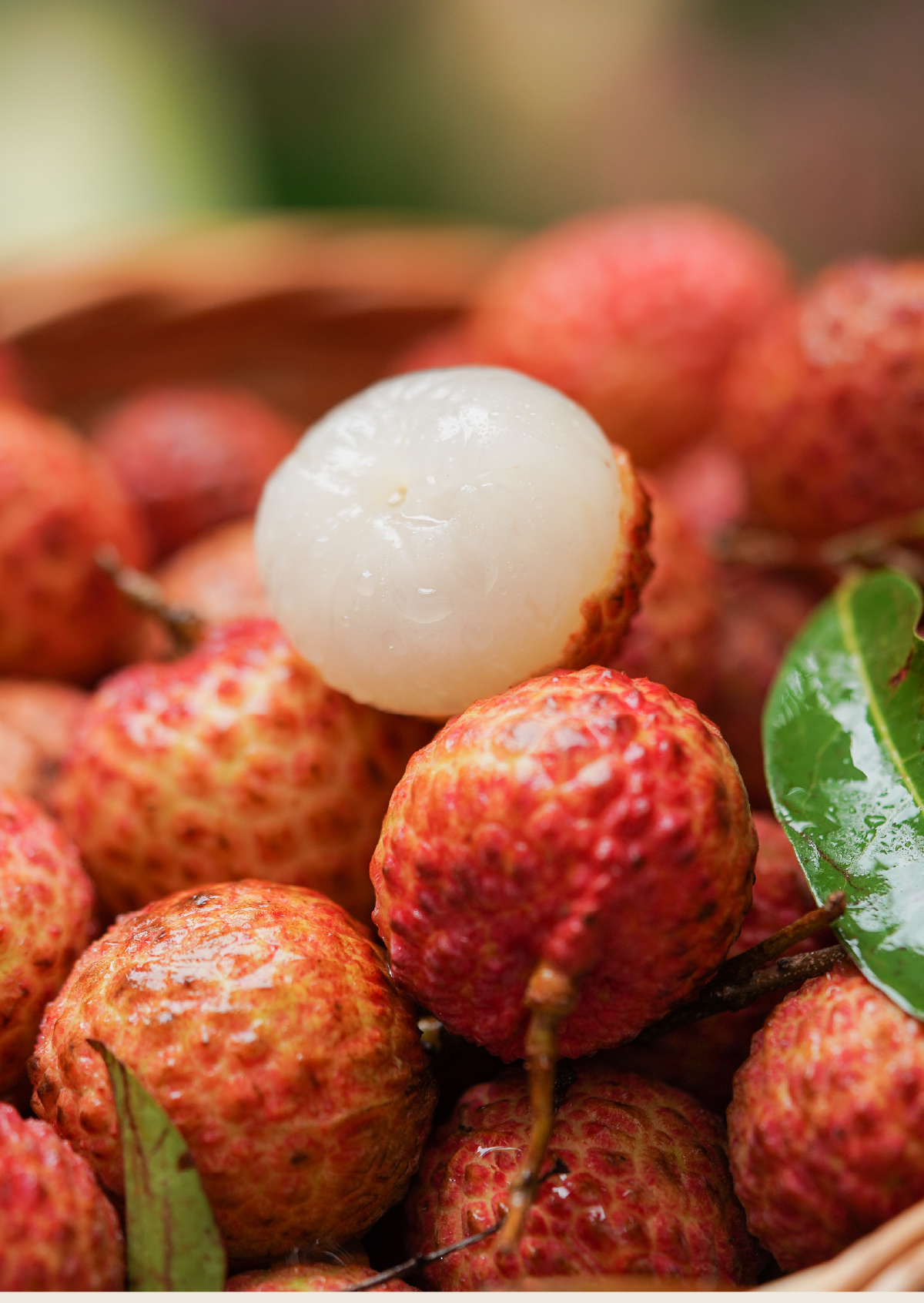 2024年饱记 荔枝 广东增城 桂味/糯米糍/仙进奉