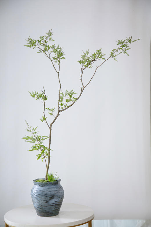 造型黄荆蓝灰盆 商品图0