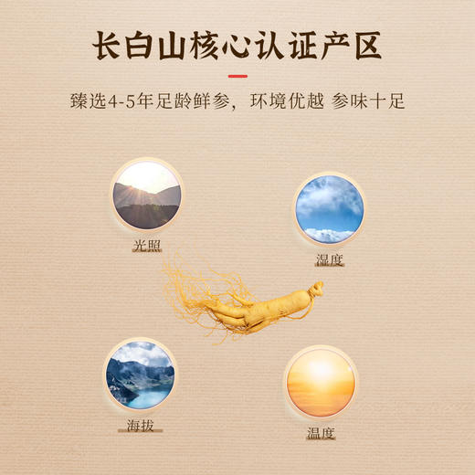 【天道】鲜参蜜片65g/盒（4罐/盒） 商品图4