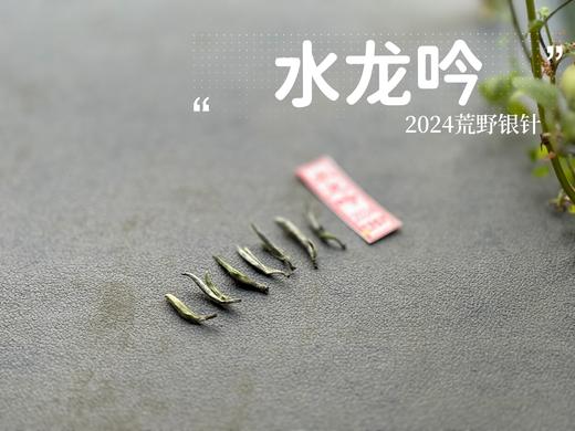 【2024春茶来了】野性十足、野劲十足的2024荒野银针来了，雪后的白茶更甜，天生天养的荒野白茶就更甜了 商品图4