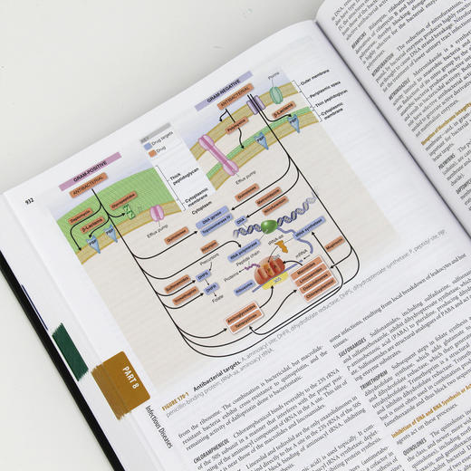哈里森内科学（第19版·双语版） 商品图6