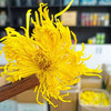 金丝皇菊 500g 商品缩略图2