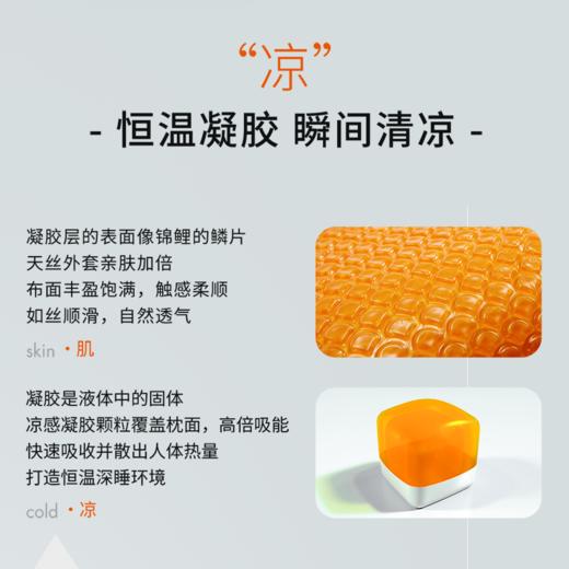 【美居】喜临门锦鲤凝胶清凉舒睡枕 商品图1