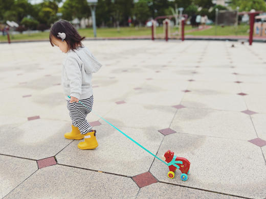 DJECO拖拉小车低幼宝宝学步玩具 商品图8