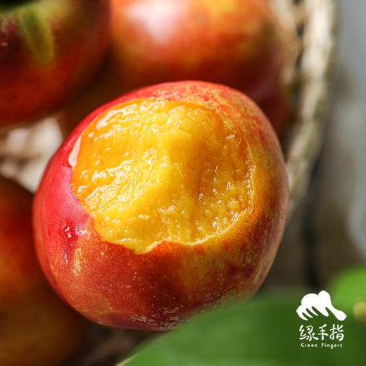 生态黄肉大油桃（中油金铭） | 合作生产 *Eco-nectarine | Partner Production 商品图0