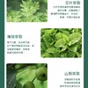 武当道灸植物艾叶精油牙膏 商品缩略图1