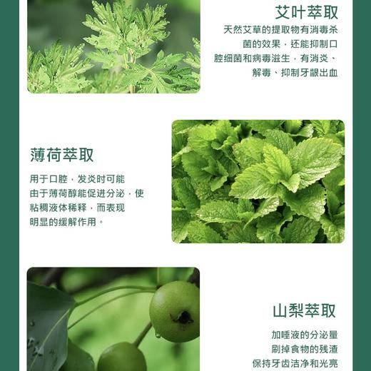 武当道灸植物艾叶精油牙膏 商品图1