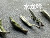 【2024春茶来了】野性十足、野劲十足的2024荒野银针来了，雪后的白茶更甜，天生天养的荒野白茶就更甜了 商品缩略图5