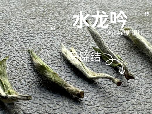 【2024春茶来了】野性十足、野劲十足的2024荒野银针来了，雪后的白茶更甜，天生天养的荒野白茶就更甜了 商品图5