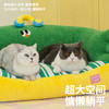 zeze绿葱葱宠物沙发床-B（包邮） 商品缩略图2
