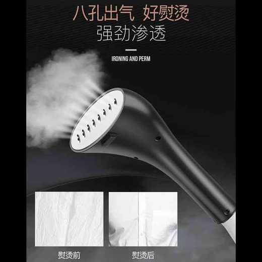 德国荣芝高功率立式蒸汽挂烫机  B52626 商品图5