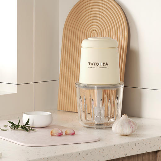 TA71-0005BP 食品加工机(碎肉机) 商品图0