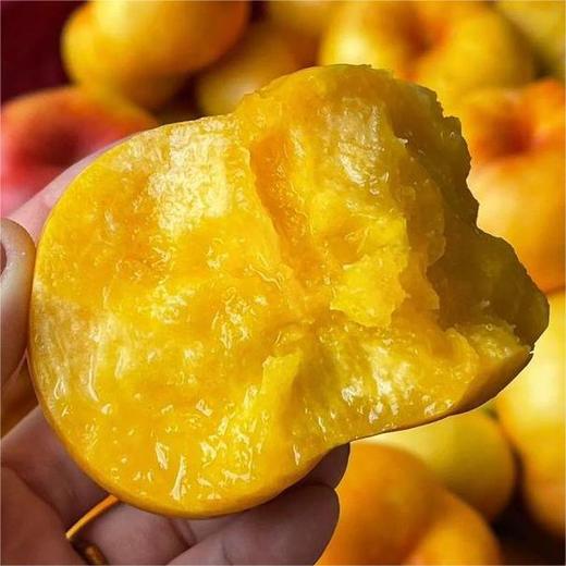 山东紫金彩虹油蟠桃3-4斤彩箱装6-12个  一格一颗，足重，不满格为正常现象 商品图3