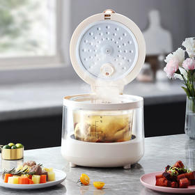 西屋Westinghouse-智能电饭煲